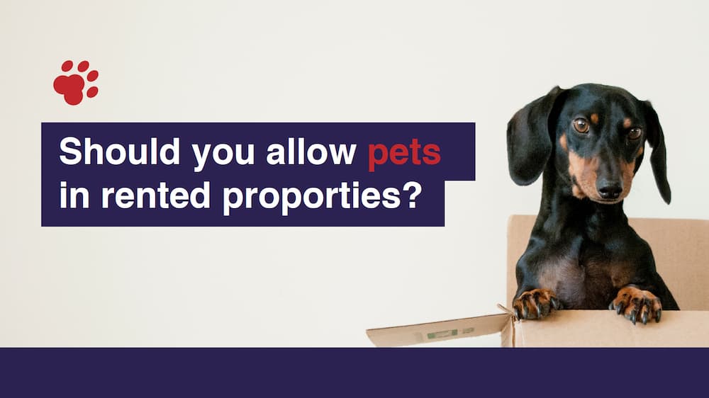 Pros and Cons of Being a Pet-Friendly Landlord - Horizon Letting Agents Sheffield