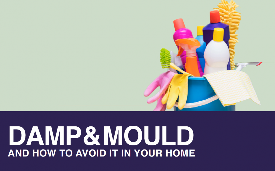 Damp, Mould, and How To Avoid It In Your Home - Horizon Letting Agents Sheffield