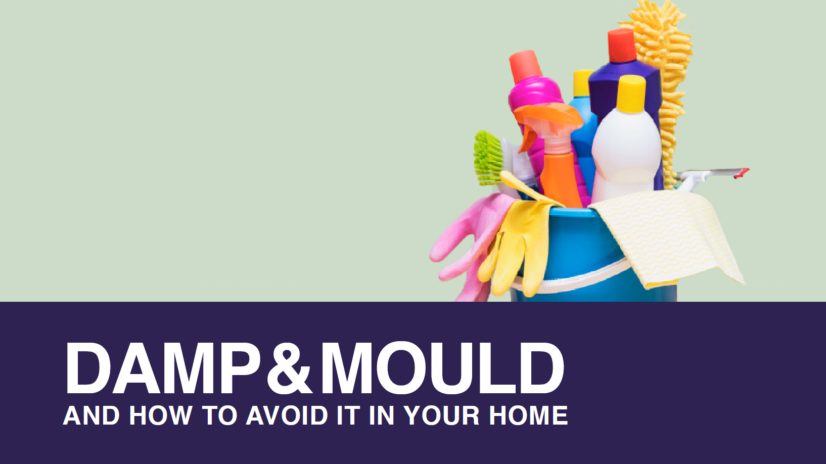 Damp, Mould, and How To Avoid It In Your Home Horizon Lets