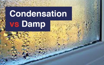 Condensation vs Damp Info for Landlords