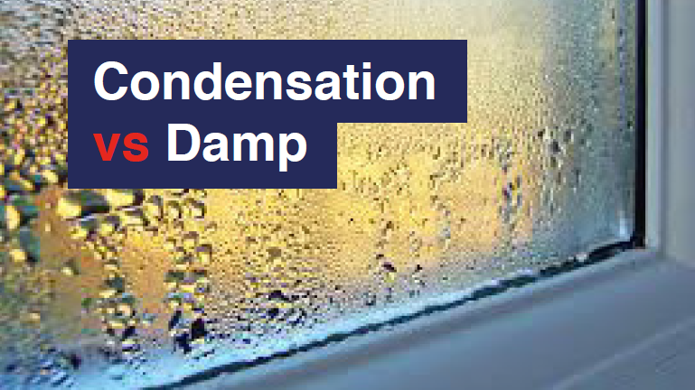 Condensation vs damp information for landlords - Horizon Lets