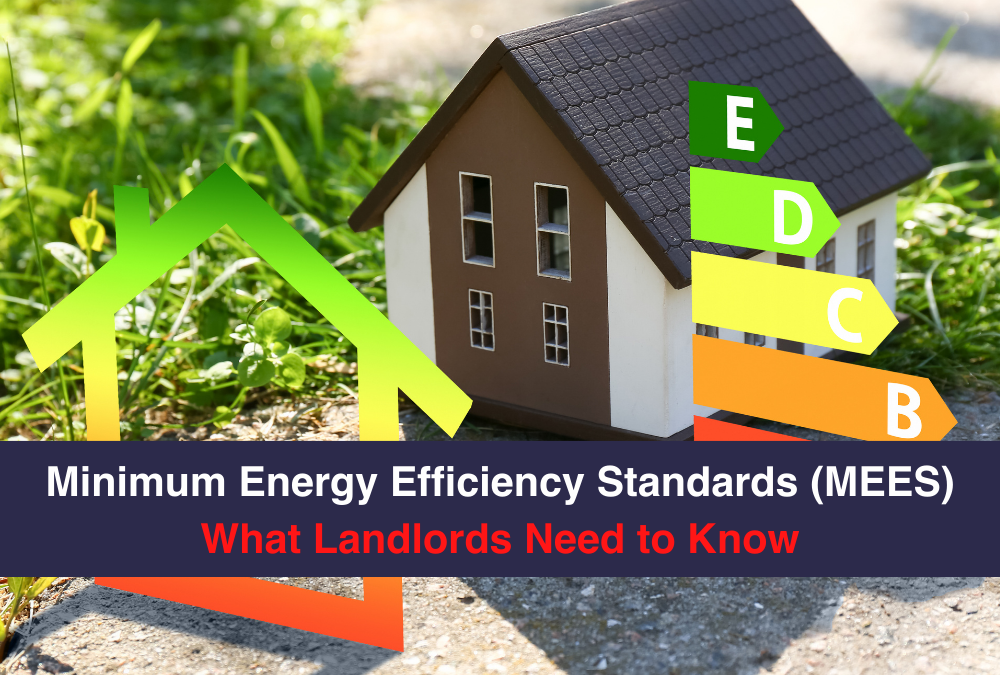 Minimum Energy Efficiency Standards (MEES): What Landlords Need to Know
