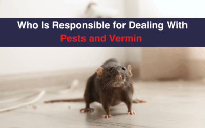 Who Is Responsible for Dealing With Pests and Vermin