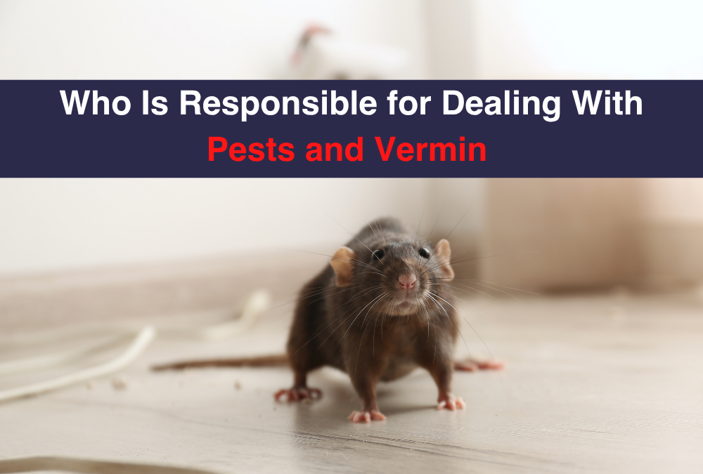 Who Is Responsible for Dealing With Pests and Vermin