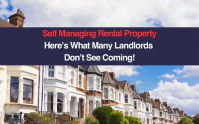 Self Managing Rental Property Here’s What Many Landlords  Don’t See Coming!