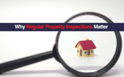 Why Regular Property Inspections Matter